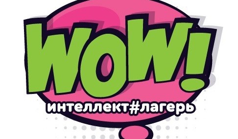 Интеллект-лагерь WOW